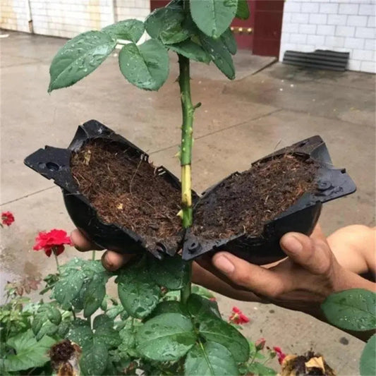 RootBox™ - skrzynka do uprawy korzeni roślin